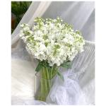 White Violet
